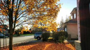 Fall Garage Door Maintenance Checklist for Edmonton